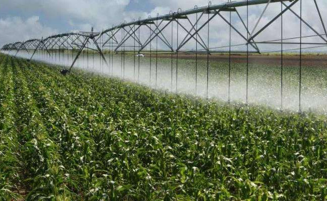 Зеленский подписал закон, запускающий второй этап реформы мелиорации: что изменится для агросектора