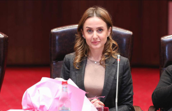 Комитет Рады поддержал заявление народного депутата Дарьи Володиной о сложении мандата