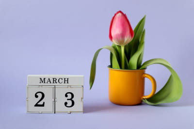 23 березня – яке сьогодні свято та головні події дня