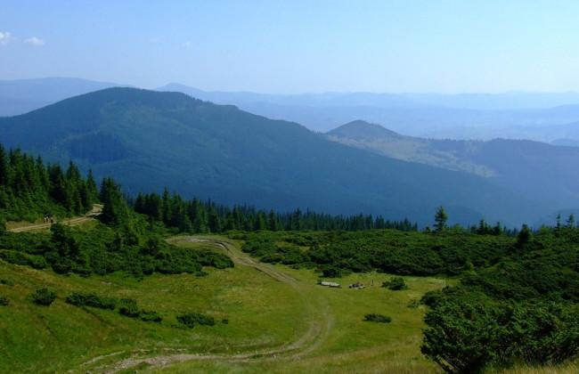 Українці підтримали петицію про охорону Карпат і розширення заповідників: що вона передбачає