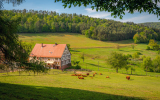 В Верховной Раде рассказали, когда стартует программа жилья для ВПЛ в селах