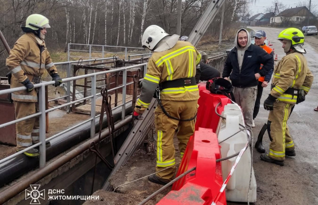 На Житомирщині провели спецоперацію з порятунку бобрів: фото