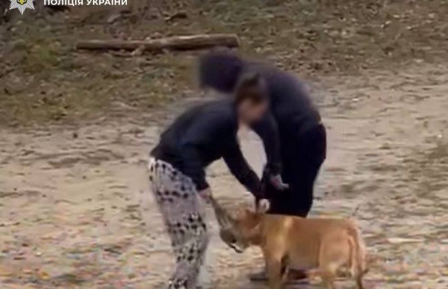 У Києві жінку, яка била повідцем собаку у парку, – оштрафували