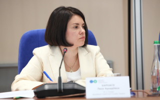 В Україні з’явиться податковий супровід для ветеранського підприємництва — Леся Карнаух