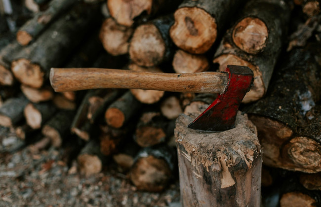 Ущерб более 43 тысяч: на Полтавщине 66-летнего мужчину наказали за вырубку деревьев без разрешения