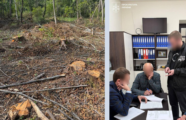 103 млн гривень збитків і 19 тисяч дерев – на Львівщині викрили масштабну лісову аферу