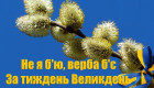 Не я бью — верба бьет: традиции и запреты Вербного воскресенья