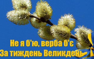 Не я бью — верба бьет: традиции и запреты Вербного воскресенья