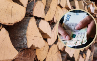 Субсидия на твердое топливо и сжиженный газ: какие нужны документы и куда их подавать