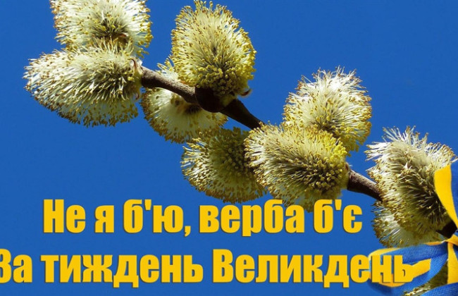 Не я бью — верба бьет: традиции и запреты Вербного воскресенья