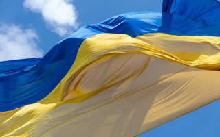 В Литве мужчина похитил флаг Украины из государственного здания и повредил автомобиль семьи украинских беженцев — какое решение принял суд