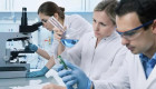 Научным работникам готовят повышение зарплат на 50%: когда могут вырасти выплаты