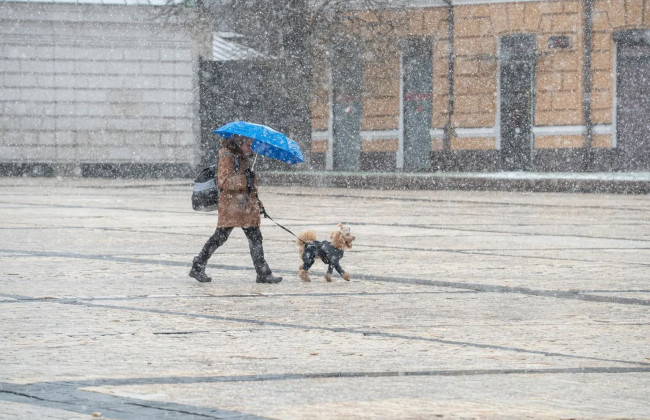 У Києві та області вночі заморозки, а 9 квітня – дощ з мокрим снігом