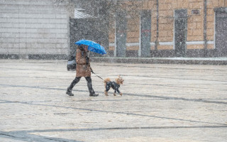 У Києві та області вночі заморозки, а 9 квітня – дощ з мокрим снігом