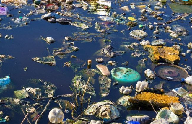 Штрафи за утилізацію відходів у водойми можуть зрости з 85 гривень до 5 тисяч