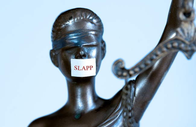 Депутати готують закон для захисту активістів від судового тиску, а судам нові статистичні показники