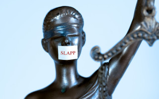 Депутати готують закон для захисту активістів від судового тиску, а судам нові статистичні показники