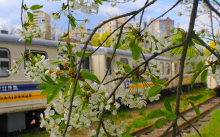 У Києві запустять «Великодній експрес» для дітей і дорослих