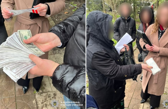 Інвалідність за 25000 доларів: на Буковині викрили жінку, яка обіцяла вплинути на медиків