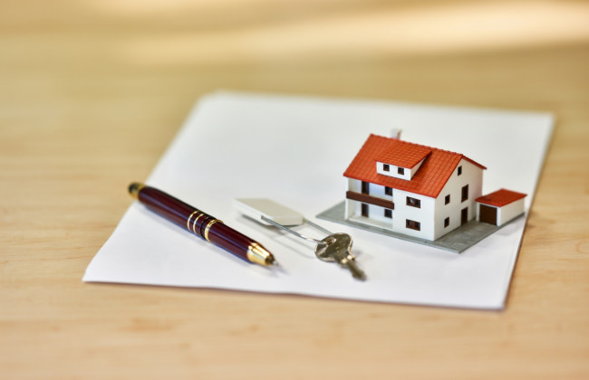 Какие услуги с недвижимостью можно получить за 1 день — перечень
