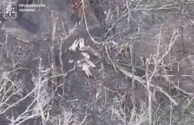 На Харківщині окупанти розстріляли чотирьох полонених бійців ЗСУ — в ОГП розпочали розслідування
