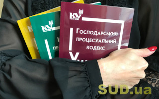 Касаційний суд пропонують наділити чіткими повноваженнями щодо забезпечення позову