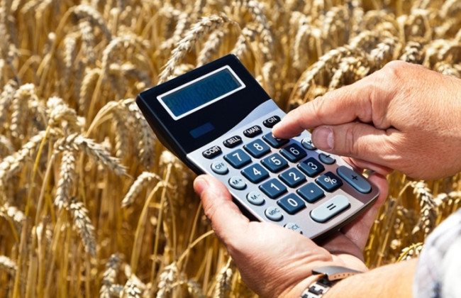Для аграриев в прифронтовых и деоккупированных районах готовят налоговые льготы — Рада рассматривает два подхода