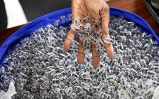 Биопиратство в Кении: суд наказал гражданина Китая за попытку контрабанды более 2200 муравьев