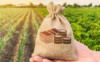 Как рассчитать минимальное налоговое обязательство, если земля в собственности не весь год