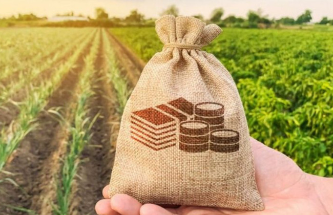 Как рассчитать минимальное налоговое обязательство, если земля в собственности не весь год