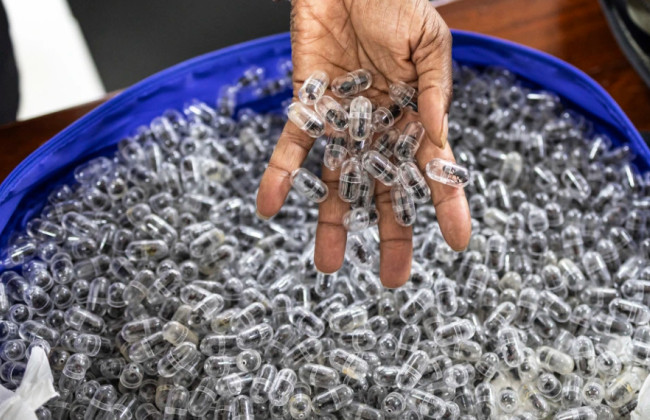 Биопиратство в Кении: суд наказал гражданина Китая за попытку контрабанды более 2200 муравьев