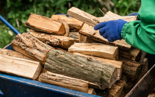 Льготы на дрова и газ в 2026 году: кто получит деньги, а кому откажут