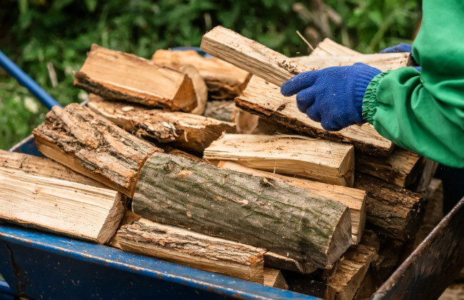 Пільги на дрова і газ у 2026 році: хто отримає гроші, а кому відмовлять