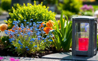 Киян закликали не приносити штучні квіти на кладовища в поминальні дні та назвали альтернативу