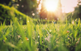 Погода в Украине на 19–20 апреля: где ожидаются дожди и заморозки