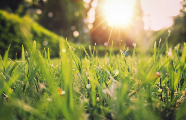 Погода в Україні на 19–20 квітня: де очікуються дощі та заморозки