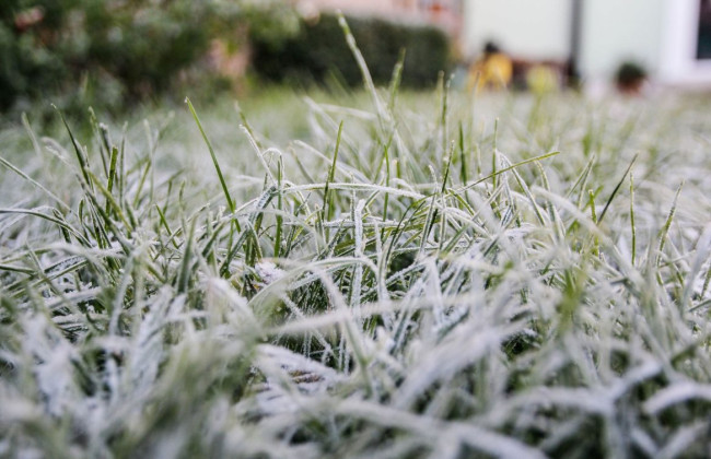На Київщині та в Києві очікуються заморозки – оголошено помаранчевий та жовтий рівні небезпеки