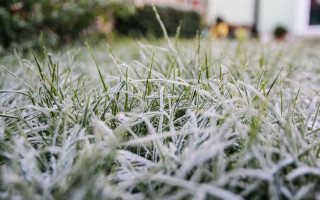 В Киевской области и в Киеве ожидаются заморозки — объявлены оранжевый и желтый уровни опасности