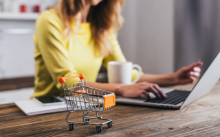 Бизнес переходит в онлайн: больше всего ФЛП открывают в сфере торговли