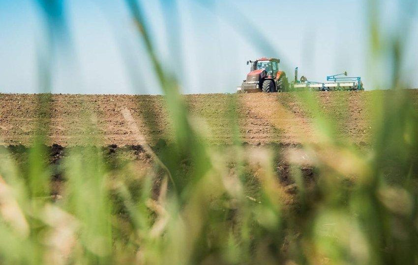Аграриям пересчитают стоимость земли на прифронтовых территориях — теперь будут учитывать климатические условия