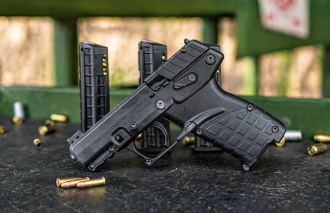 В Кабмин подали петицию о разрешении короткоствольного оружия для ветеранов