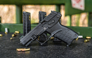 В Кабмин подали петицию о разрешении короткоствольного оружия для ветеранов