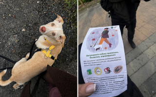 У Львові на дівчину склали адмінпостанову за відсутність муніципального жетона на собаку