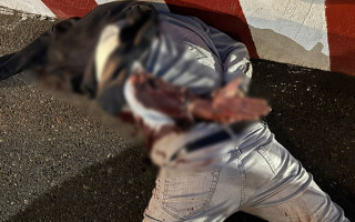 Замість організації «виїзду» за кордон – пограбування: в Одесі затримали групу «переправників»