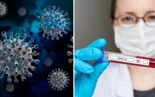 В Україні зафіксовано перший випадок коронавірусу «Цикада» — які у нього симптоми