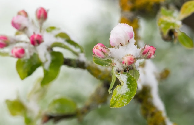 Якою буде погода у Києві 22–24 квітня: заморозки і хмарність