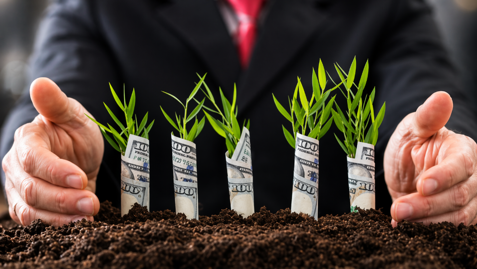 Почему не удается продать или сдать землю в аренду: причиной могут быть аграрные ноты