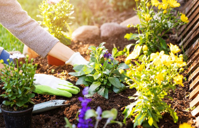 В Україні змінили умови агрогрантів для садівництва, теплиць і сховищ