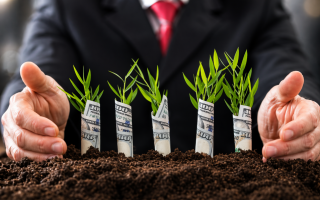 Почему не удается продать или сдать землю в аренду: причиной могут быть аграрные ноты