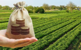 Земля в собственности не весь год: как рассчитать МНО